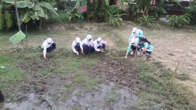 แหล่งเรียนด้านการปลูกข้าว สวนเกษตรผสมผสาน อ.ว.ท. 06.01.60